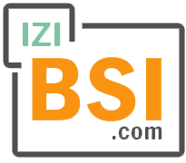 Logo iziBSI